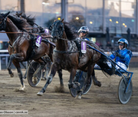 08 Custom Captain o Ole Johan Östre | Jägersro 260811 | Foto: Stefan Olsson