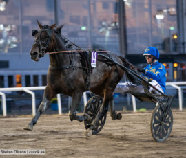 Shejk och Max Säker Lysell | Jägersro 260827 | Foto: Stefan Olsson