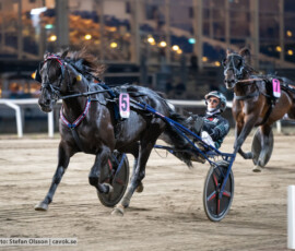 10 Black Fire o Tyler Mifsud | Jägersro 260811 | Foto: Stefan Olsson