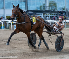 Auguste och Mika Forss | Jägersro 260906 | Foto: Stefan Olsson