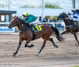 FriendofthePhantom och Emilia Leo | Jägersro 260905 | Foto: Stefan Olsson