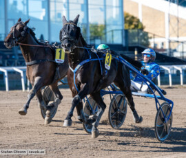 Gattuso Effe och Markus Waldmüller | Jägersro 260922 | Foto: Stefan Olsson