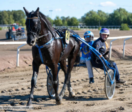 Gattuso Effe och Markus Waldmüller | Jägersro 260922 | Foto: Stefan Olsson