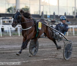 Reilly Westwood och Stefan Persson | Jägersro 260916 | Foto: Stefan Olsson