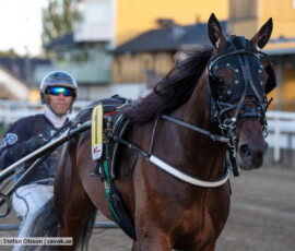 Reilly Westwood och Stefan Persson | Jägersro 260916 | Foto: Stefan Olsson