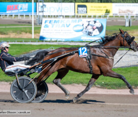 Indeed och Ken Ecce | Jägersro 260922 | Foto: Stefan Olsson