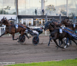 Reidar di Quattro och Tyler Mifsud | Jägersro 260916 | Foto: Stefan Olsson