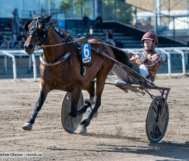 Whistler och Mika Forss | Jägersro 260906 | Foto: Stefan Olsson