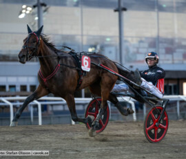 Cruiser och Johan Untersteiner | Jägersro 260916 | Foto: Stefan Olsson