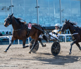 Princess Garde och Per Nordström | Jägersro 260906 | Foto: Stefan Olsson