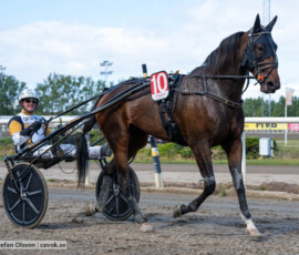 Princess Garde och Per Nordström | Jägersro 260906 | Foto: Stefan Olsson