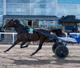 Heathcliff D.E. och Kevin Oscarsson | Jägersro 260905 | Foto: Stefan Olsson