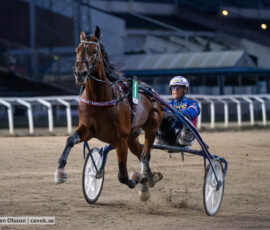 Ichiro d'Arc och Joakim Lövgren | Jägersro 260916 | Foto: Stefan Olsson
