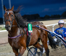 Ichiro d'Arc och Joakim Lövgren | Jägersro 260916 | Foto: Stefan Olsson