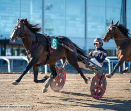 Vinci Winner och Johan Untersteiner | Jägersro 260922 | Foto: Stefan Olsson
