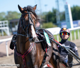 Vinci Winner och Johan Untersteiner | Jägersro 260922 | Foto: Stefan Olsson