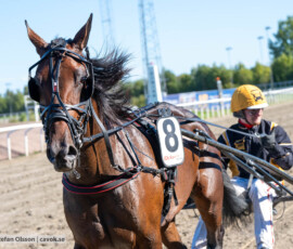 Donna Patricia och Gustav Johansson | Jägersro 260922 | Foto: Stefan Olsson