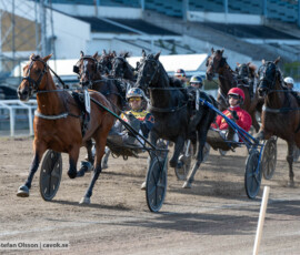 Ready Star och Mats E Djuse | Jägersro 260906 | Foto: Stefan Olsson