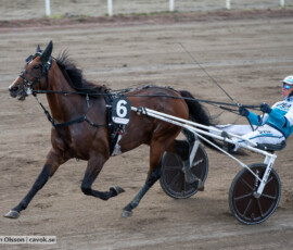Datos Rainbow och Örjan Kihlström | Jägersro 260906 | Foto: Stefan Olsson