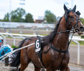 Datos Rainbow och Örjan Kihlström | Jägersro 260906 | Foto: Stefan Olsson