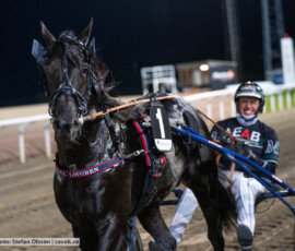 La Chris och Tyler Mifsud | Jägersro 260916 | Foto: Stefan Olsson