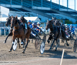 Richwood och Rick Ebbinge | Jägersro 260922 | Foto: Stefan Olsson
