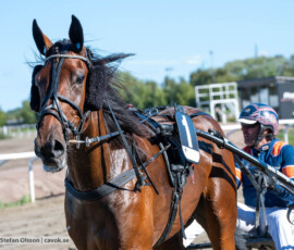 Richwood och Rick Ebbinge | Jägersro 260922 | Foto: Stefan Olsson
