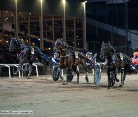 Black Fire och Tyler Mifsud | Jägersro 260916 | Foto: Stefan Olsson