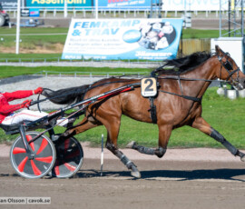 Richmond och Peter Untersteiner | Jägersro 260922 | Foto: Stefan Olsson