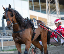 Richmond och Peter Untersteiner | Jägersro 260922 | Foto: Stefan Olsson