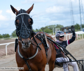 Ursula och Adrian Kolgjini | Jägersro 260906 | Foto: Stefan Olsson