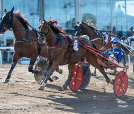 Dixon Face och Rikard N Skoglund | Jägersro 260905 | Foto: Stefan Olsson