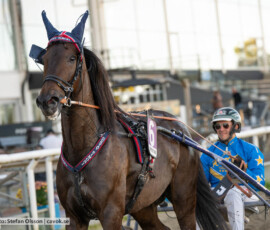 Gustav Simoni och Tyler Mifsud | Jägersro 260922 | Foto: Stefan Olsson