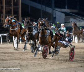 Brigo och Johan Untersteiner | Jägersro 260916 | Foto: Stefan Olsson