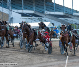 Derbystoet: Meditate och Mats E Djuse | Jägersro 260906 | Foto: Stefan Olsson