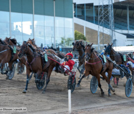 Derbystoet: Meditate och Mats E Djuse | Jägersro 260906 | Foto: Stefan Olsson