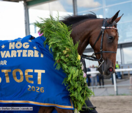 Derbystoet: Meditate | Jägersro 260906 | Foto: Stefan Olsson