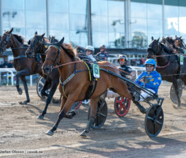 Riverdale Z. och Conrad Lugauer | Jägersro 260905 | Foto: Stefan Olsson