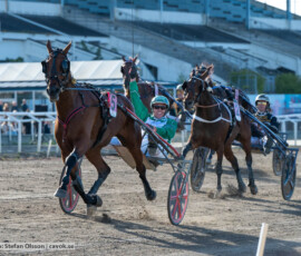 K.G. Bertmarks Minne: Global Futurity och Peter Arnqvist | Jägersro 260906 | Foto: Stefan Olsson