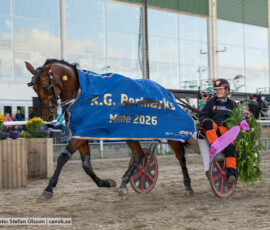 K.G. Bertmarks Minne: Global Futurity och Peter Arnqvist | Jägersro 260906 | Foto: Stefan Olsson