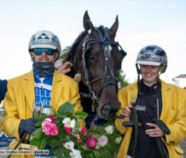 Svenskt Travderby: Mellby Narrow och Magnus A Djuse tillsammans med skötare Lisa Gilljam | Jägersro 260906 | Foto: Stefan Olsson