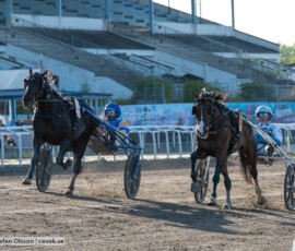 Svenskt Travderby: Mellby Narrow och Magnus A Djuse | Jägersro 260906 | Foto: Stefan Olsson