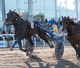 Svenskt Travderby: Mellby Narrow och Magnus A Djuse | Jägersro 260906 | Foto: Stefan Olsson