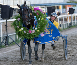 Svenskt Travderby: Mellby Narrow och Lisa Gilljam | Jägersro 260906 | Foto: Stefan Olsson