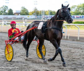 Frank S.H. och Mats E Djuse | Jägersro 260905 | Foto: Stefan Olsson