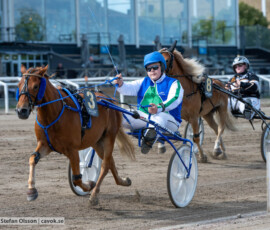 Svenskt Ponnytravderby kat B: Bec's Rosso och Albin Peterson | Jägersro 260906 | Foto: Stefan Olsson