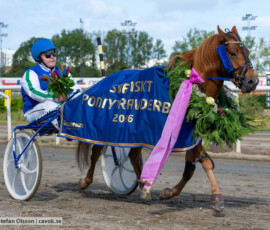 Svenskt Ponnytravderby kat B: Bec's Rosso och Albin Peterson | Jägersro 260906 | Foto: Stefan Olsson