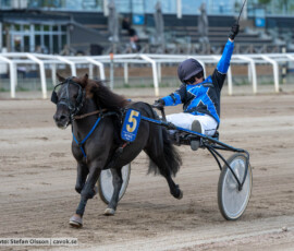 Svenskt Ponnytravderby kat A: Mr Findus och Natalie Van Der Wal | Jägersro 260906 | Foto: Stefan Olsson