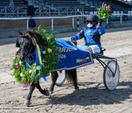 Svenskt Ponnytravderby kat A: Mr Findus och Natalie Van Der Wal | Jägersro 260906 | Foto: Stefan Olsson