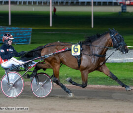 Kulusevski Pellini och Johan Untersteiner | Jägersro 261013 | Foto: Stefan Olsson